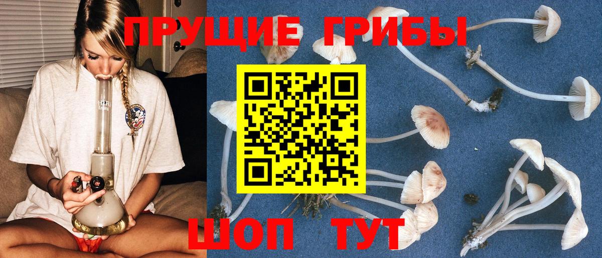 Псилоцибиновые грибы мухоморы Татарск
