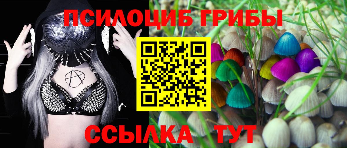 Татарск  Галлюциногенные грибы прущие грибы  Вход с VPN 